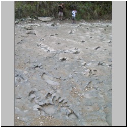 100_0745 (2009-27-07)m.JPG